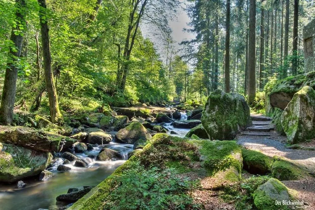 Cozy I Blockhuette Im Nationalpark I Ferienwohnung Neureichenau Apartment