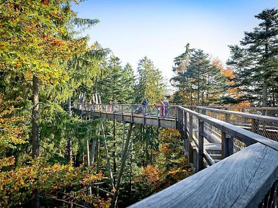 Apartment Cozy I Blockhuette Im Nationalpark I Ferienwohnung Neureichenau